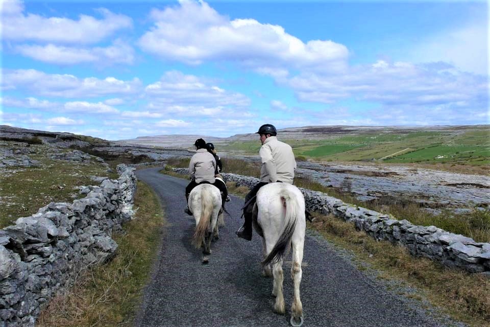 Horse riding the mountain trail. Clare. Guided, 2 hours 6