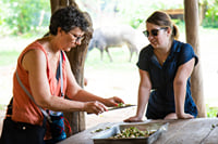 Elephant World Kanchanaburi with Private Transport from Bangkok 7