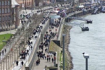 Cologne to Düsseldorf: Private Guided Cultural Tour