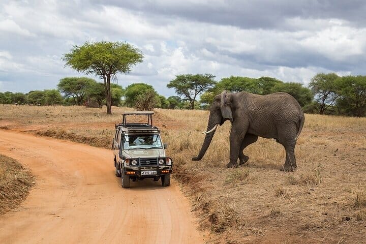 Mikumi National Park 2 Day Safari from Zanzibar or Dar es Salaam