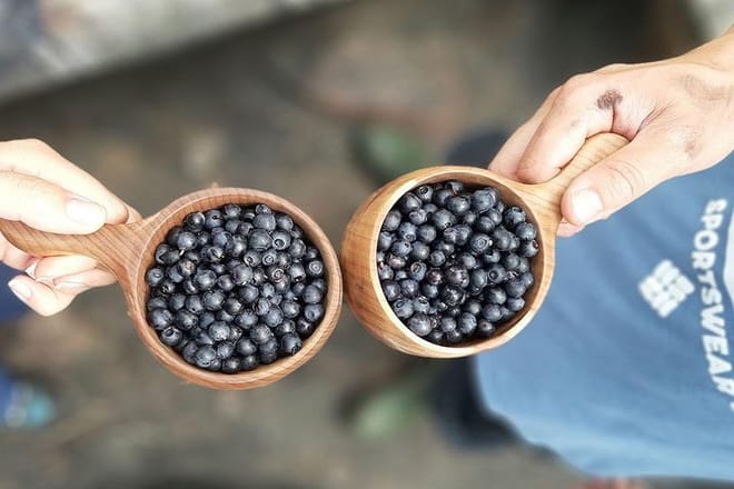 Berry Picking in a National Park photo 3