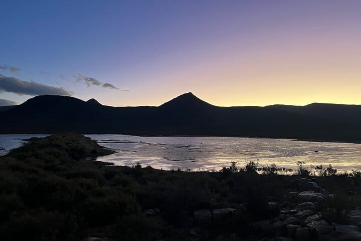 Cape Town Aquila Game Reserve Big 5 Sunset Safari with Transport