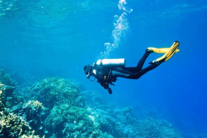 Scuba Diving Experience in Kusadasi with Instructor and Transfer 7