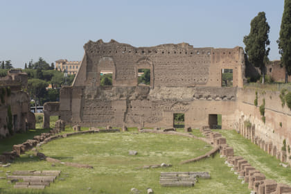 Colosseum, Roman Forum and Palatine Hill Guided tour