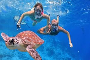 Jewels of the Sea: Amed Snorkeling Expedition