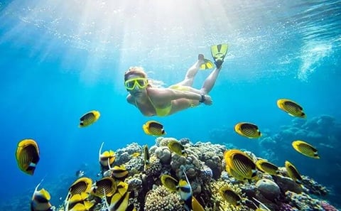 Dahab Canyon & Blue Lagoon Tour from hurghada