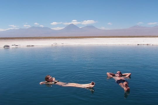 Full day Altiplanic Lagoons + Red stones viewpoint + Salar de Atacama