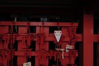 Kyoto Fushimi Inari Night Walking Tour 5