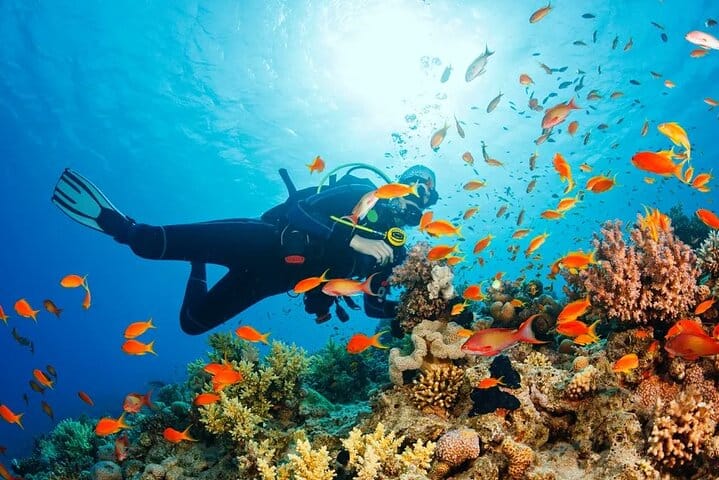 Diving and Snorkeling Day Trip By VIP Boat From Hurghada 8
