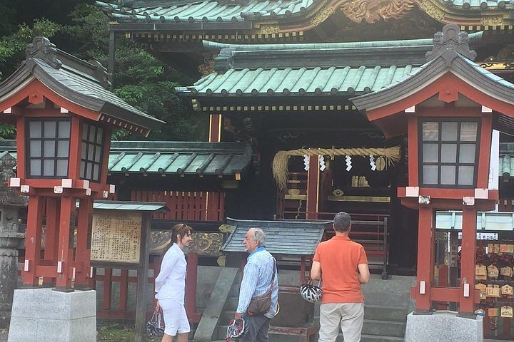 Guided Bike Tour to a Green Tea Farm in Shizuoka (not e-bikes)