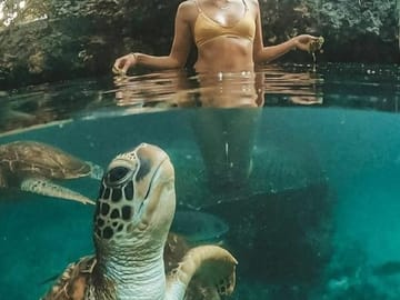 Zanzibar: Swimming With Turtle at Baraka Natural Aquarium