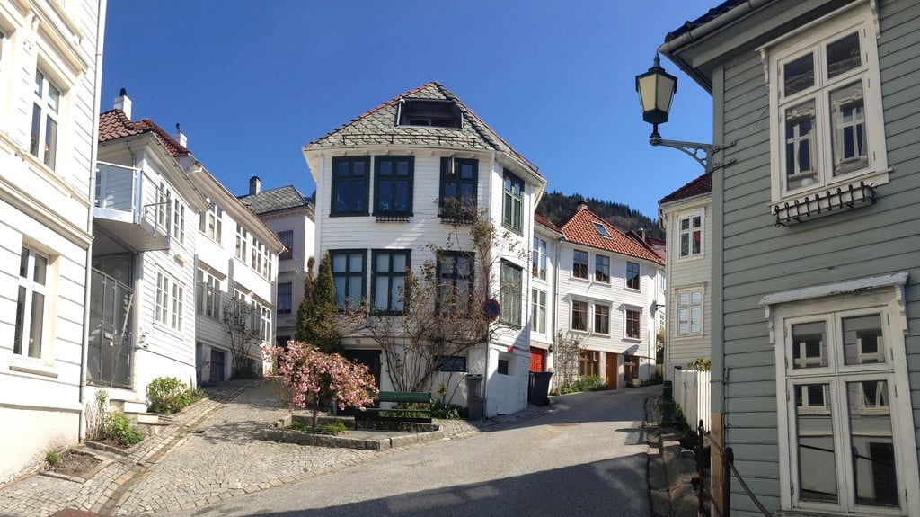Bergenhus - Bergen City Sightseeing - Private Guided Tour