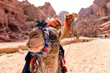 Private 2 -Days Tour to Petra – UNESCO World Heritage Site with Petra by Night