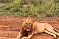 3 Days and 2 Nights Private Maasai Mara Safari 1