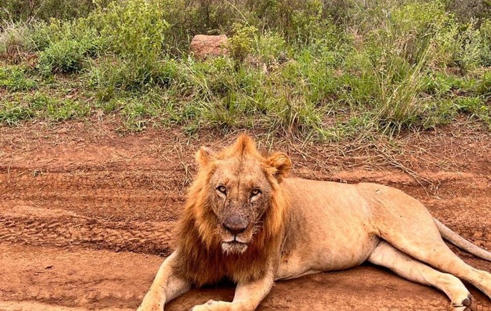 3 Days and 2 Nights Private Maasai Mara Safari