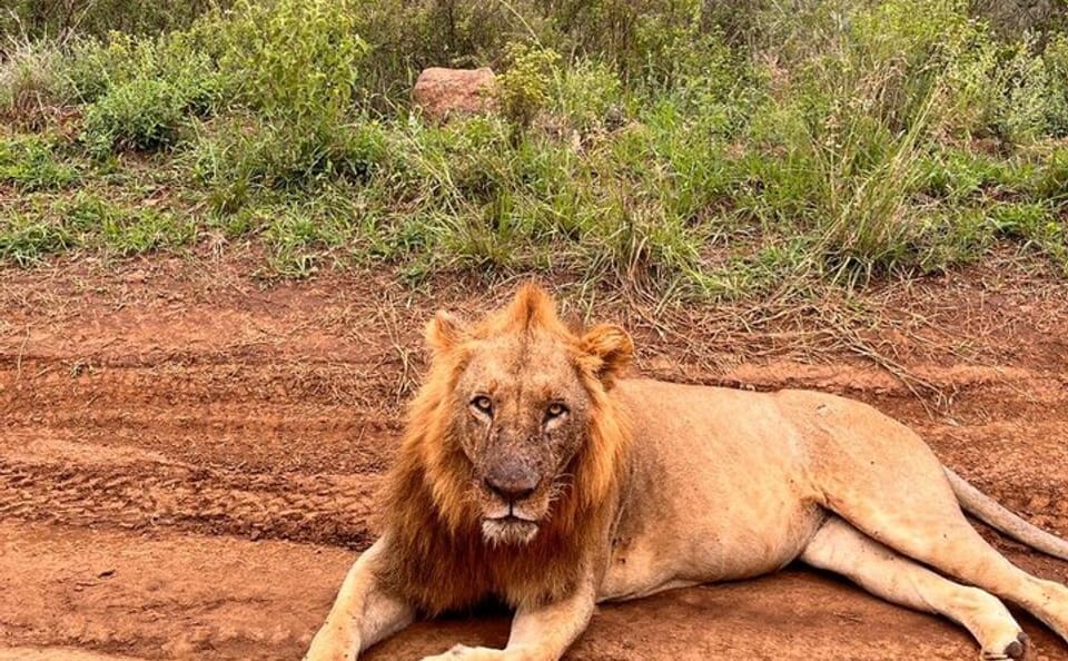 3 Days and 2 Nights Private Maasai Mara Safari