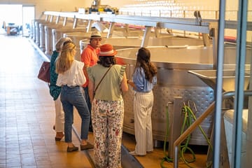 Private Arrábida and Comporta Wine Full Day Tour From Lisbon