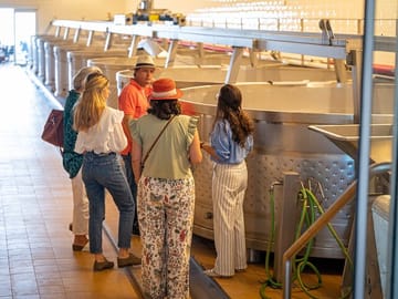 Private Full Day Wine Tour in Arrábida and Comporta from Lisbon