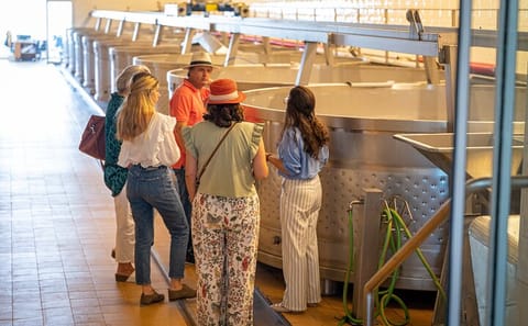 Private Full Day Wine Tour in Arrábida and Comporta from Lisbon