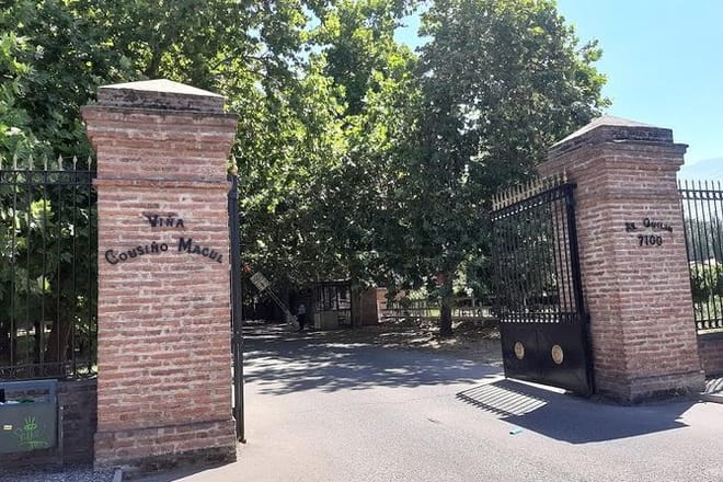 Private Maipo Valley Wine Experience from Santiago 9
