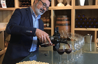 Boutique Winery Visit & Wine Tasting near Arezzo 6