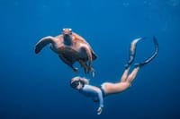 Los Cabos Snorkeling Tour to Chileno Bay and Santa Maria Cove 3