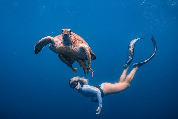 Los Cabos Snorkeling Tour to Chileno Bay and Santa Maria Cove 3