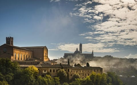 Day Trip from Pisa to Florence, San Gimignano, and Siena