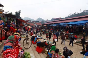 Full-day Bac Ha Sunday Market Private Tour from Sapa