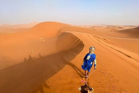 Sunset Camel Ride and Dinner Experience in Merzouga Desert