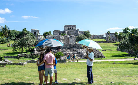 Tulum Archaeological Tour and Dolphin Adventure Experience