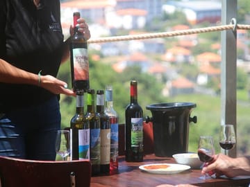 Half-Day Jeep Wine Tour and Sea Cliff Adventure in Funchal