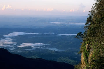 Horton Plains National Park Day Trip from Kandy