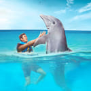 Cozumel: Dolphin Connection 6