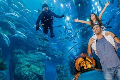 Dubai Aquarium and Underwater Zoo plus Penguin Cove Tickets