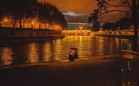 Tailored Full-Day Tour of Paris with Local Insights