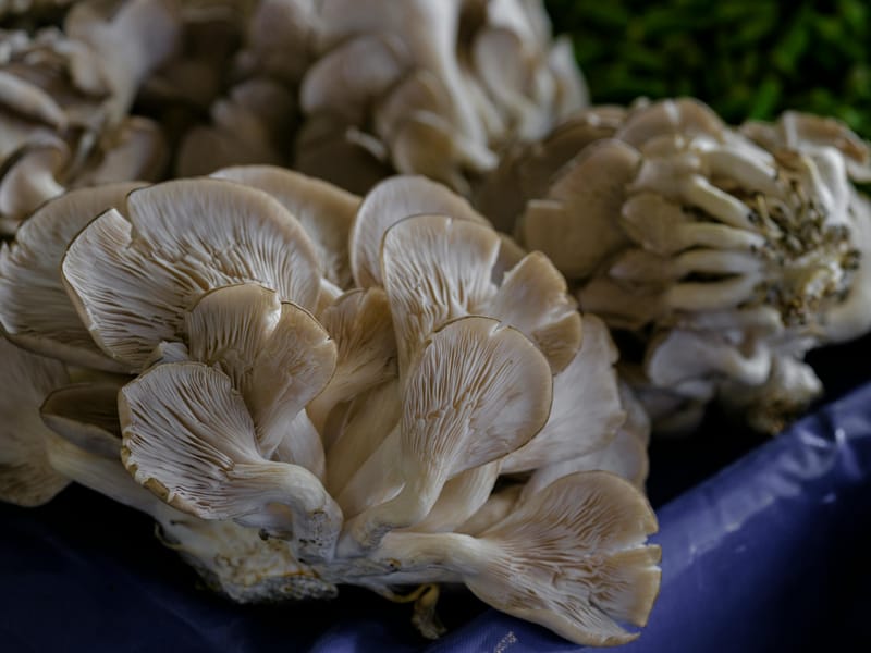 Fresh Flower Cooking Class + Dounan Flower Market (Kunming)