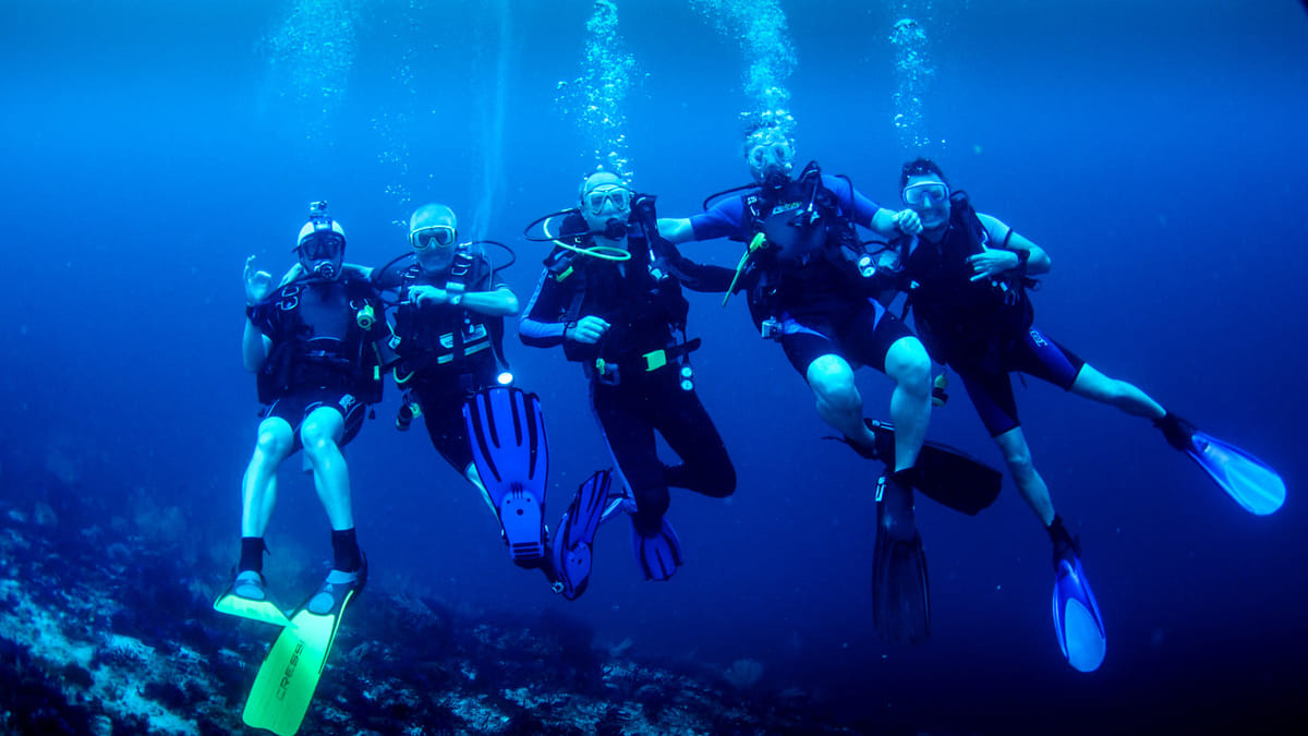 Dubai : Scuba Diving in Arabian Gulf Marine Life