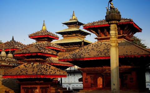 Cultural and Natural Exploration Tour of Nepal's Heritage Sites