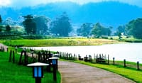 Experience of One Day Nuwara Eliya 6