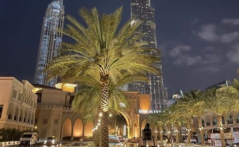 Private Night City Tour of Dubai During Layover