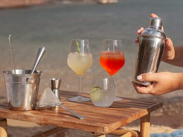 Cocktail Making Experience at Agios Sostis Beach, Mykonos