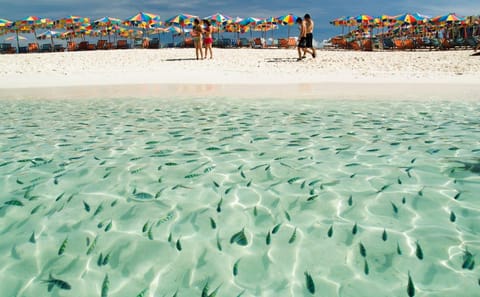4-Day Phuket Beach Getaway with Accommodation and Transfers