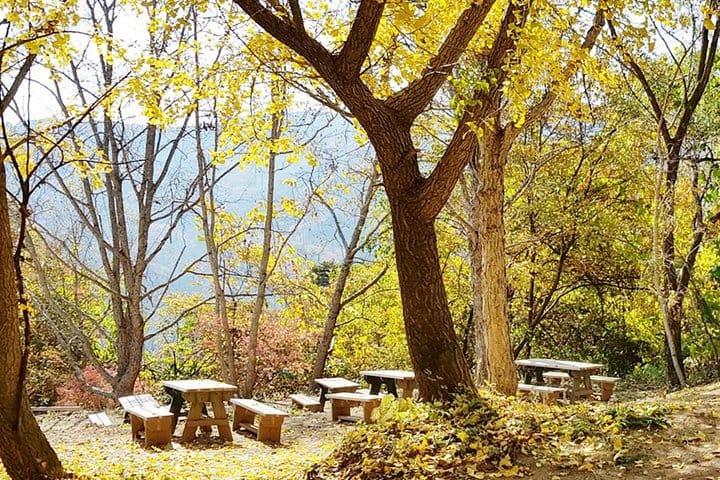 Autumn 10 days Jeonju&Mt.Naejangsan&Mt.Seorak&Mungyeong&Jeju&Busan on Early Nov