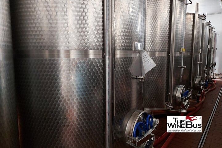 Private Tintilia del Molise Wine Tour from CAMPOBASSO