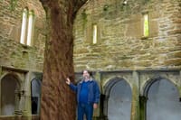 Muckross Abbey