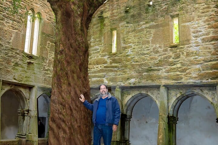 Muckross Abbey