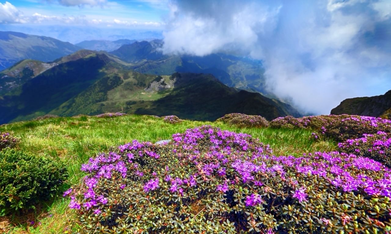 Jiaozi Moutain mountaintop