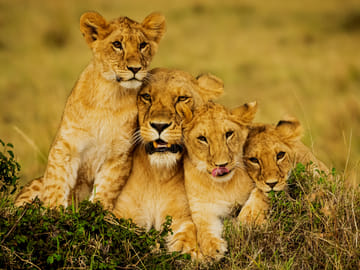 6 Days Kenya Epic Road Safari