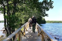 Magical Taiga Forest Hike 10